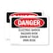 Signmission Electric Shock Hazard Risk Swim At Your Own Risk Danger Sign, Plastic, 10in W x 7in L, 2PK OS-2PACK-DS-P-710-L-2542 - alternate 1
